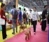 2026年深圳特殊渠道宠物用品展(SCPE)门票购买渠道指南