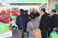 2026年中国国际现代农业博览会-农博会(CIMAE)观展指南