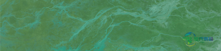 2026年维琴察国际金银珠宝展：绿玉髓的魅力与神秘