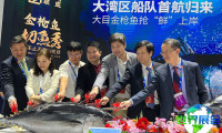 2026年深圳渔博会票价信息