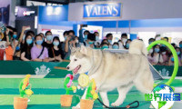 2026年上海亚洲宠物展最新参展企业名录