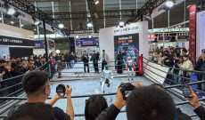 2026年中国家电及消费电子博览会今开幕