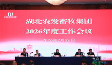 湖北农发畜牧集团：以创新引领畜牧业蓬勃发展