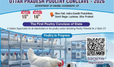 2026年北方邦家禽大会将推动区域产业转型