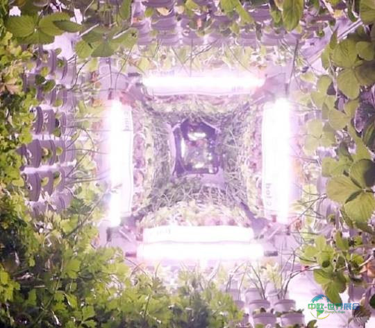 意大利波代诺内国际农业技术展 NovelFarm 2025农业科技创新国际舞台