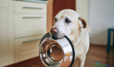 小型零售企业聚焦：2026年3月