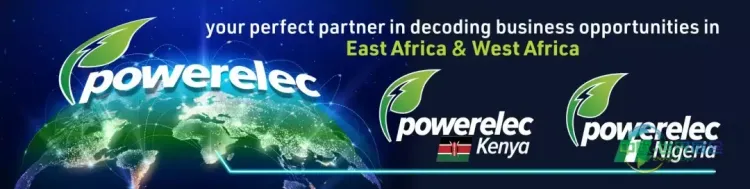 尼日利亚电力展：战略平台