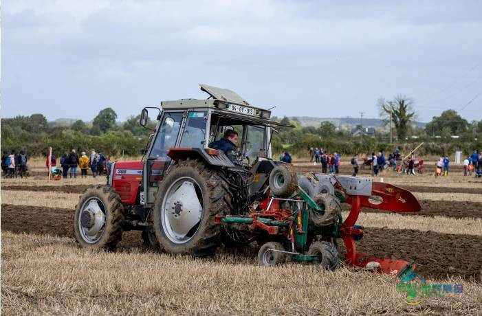 全国黑面包烘焙大赛2026回归爱尔兰奥法利国际耕作展览会增设青少年组别
