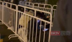 2026年中国国际模型展览会即将开幕，模型爱好者们提前排队等候入场