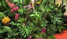 塑造岭南园林新典范！广州园现身第十五届中国（温州）国际园林博览会