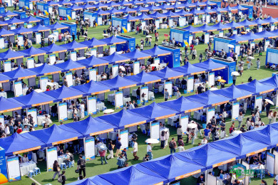 第十四届贵州人才博览会正式启幕(3)#