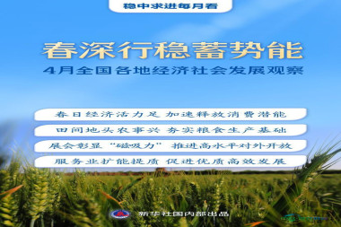 稳中求进每月观察丨春深行稳蓄动能——4月全国各地经济社会发展扫描